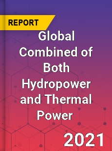 Combined of Both Hydropower and Thermal Power Market