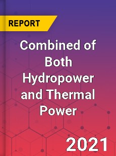 Global Combined of Both Hydropower and Thermal Power Market