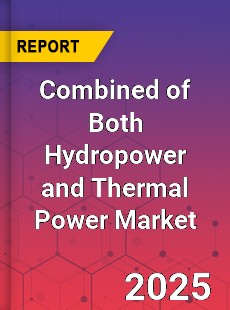 Global Combined of Both Hydropower and Thermal Power Market