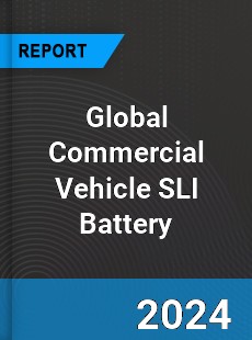 Global Commercial Vehicle SLI Battery Outlook