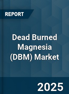 Global Dead Burned Magnesia Market