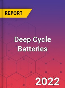 Global Deep Cycle Batteries Market