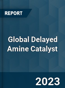 Global Delayed Amine Catalyst Industry