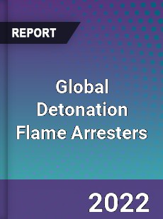 Global Detonation Flame Arresters Market