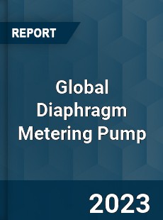 Global Diaphragm Metering Pump Market