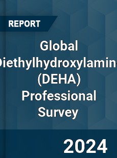 Global Diethylhydroxylamine Professional Survey Report