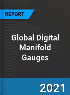 Global Digital Manifold Gauges Market