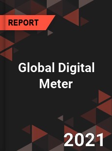 Global Digital Meter Market