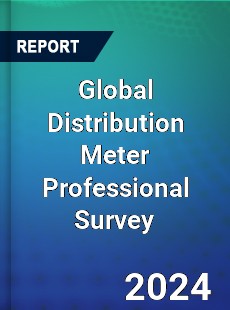 Global Distribution Meter Professional Survey Report