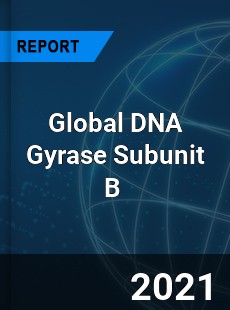 Global DNA Gyrase Subunit B Market