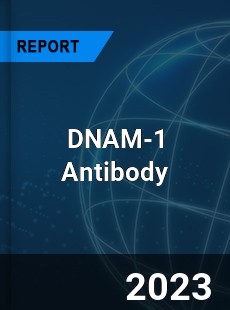 Global DNAM 1 Antibody Market