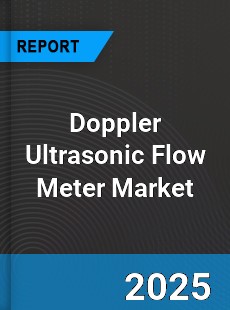 Global Doppler Ultrasonic Flow Meter Market