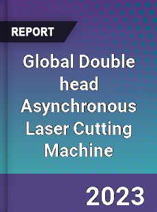 Global Double head Asynchronous Laser Cutting Machine Industry