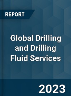 Global Drilling and Drilling Fluid Services Industry