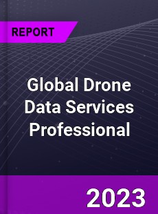 Global Drone Data Services Professional Market