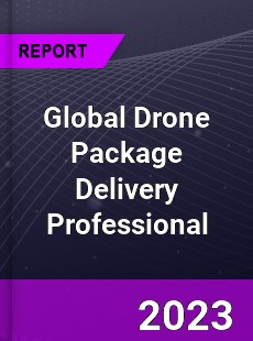 Global Drone Package Delivery Professional Market