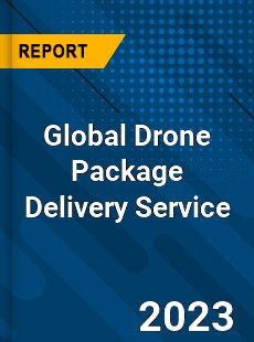 Global Drone Package Delivery Service Industry