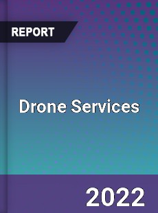 Global Drone Services Industry