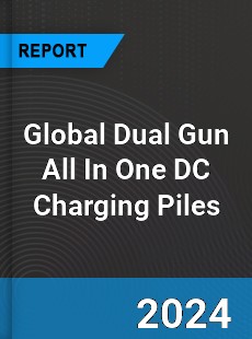 Global Dual Gun All In One DC Charging Piles Industry