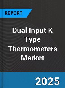 Global Dual Input K Type Thermometers Industry