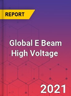 E Beam High Voltage Market