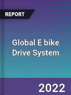 Global E bike Drive System Market