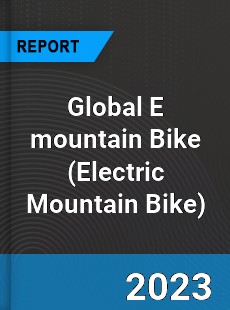 Global E mountain Bike Industry