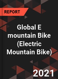 E mountain Bike Market