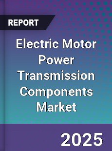 Global Electric Motor Power Transmission Components Outlook