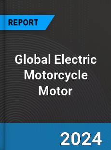 Global Electric Motorcycle Motor Industry