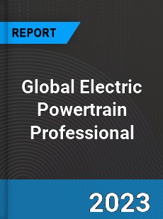 Global Electric Powertrain Professional Market