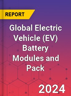 Global Electric Vehicle Battery Modules and Pack Industry