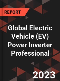 Global Electric Vehicle Power Inverter Professional Market
