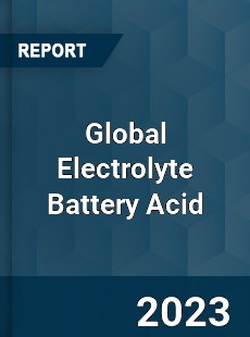 Global Electrolyte Battery Acid Industry