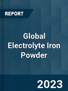 Global Electrolyte Iron Powder Market