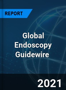 Global Endoscopy Guidewire Market