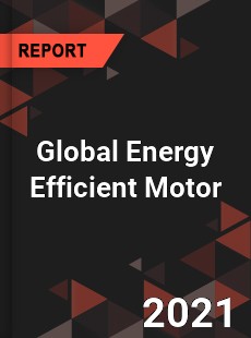 Global Energy Efficient Motor Market