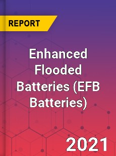 Global Enhanced Flooded Batteries Professional Survey Report