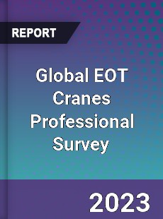 Global EOT Cranes Professional Survey Report