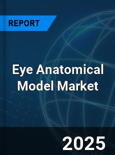 Global Eye Anatomical Model Market