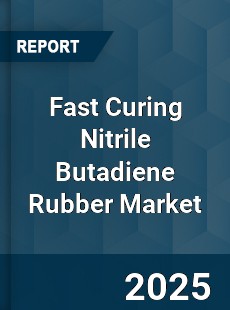 Global Fast Curing Nitrile Butadiene Rubber Market