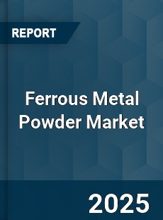 Global Ferrous Metal Powder Market