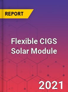 Global Flexible CIGS Solar Module Professional Survey Report