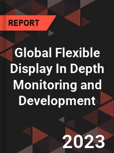 Global Flexible Display In Depth Monitoring and Development Analysis