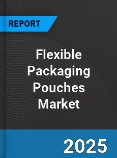 Global Flexible Packaging Pouches Outlook