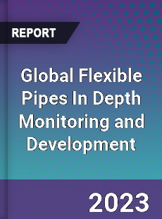Global Flexible Pipes In Depth Monitoring and Development Analysis