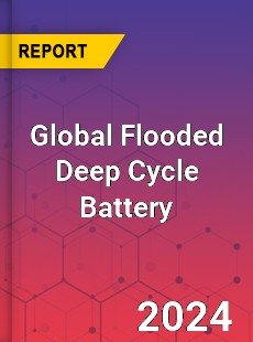 Global Flooded Deep Cycle Battery Industry