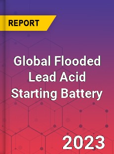 Global Flooded Lead Acid Starting Battery Industry