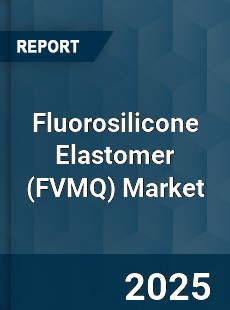 Global Fluorosilicone Elastomer Market