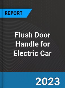 Global Flush Door Handle for Electric Car Market